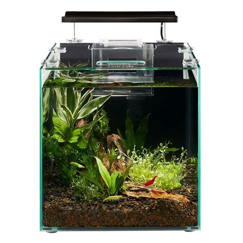 This freshwater tank is perfectly designed for aqua-scaping, and. . Top fin shrimp and plant oasis
